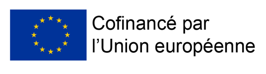 https://aseanfc2.illicoweb.com/wp-content/uploads/2024/05/Capture.png